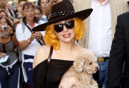 ليدي غاغا تعلّم كلبها هواية جديدة ... الرسم